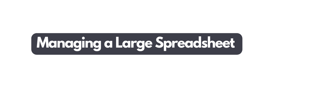 Managing a Large Spreadsheet