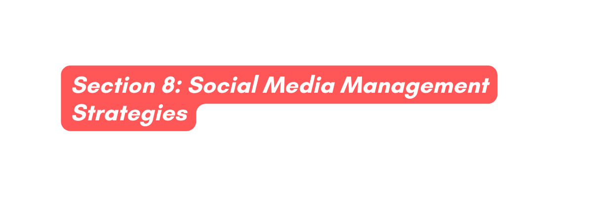 Section 8 Social Media Management Strategies