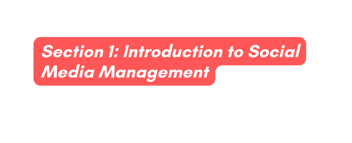 Section 1 Introduction to Social Media Management