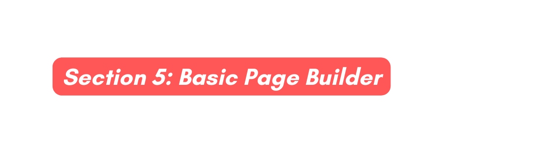 Section 5 Basic Page Builder